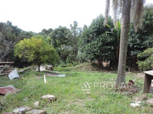 Terreno para alugar em Rio branco, Caxias do sul cod:10609 - Foto 2