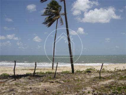 Terreno à venda em Muriú, Ceará-mirim cod:736654 - Foto 3