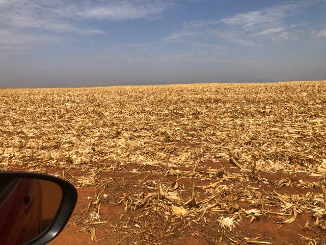 500 Hectares,planta soja, algodão, milho,argilosa Diamantino-MT - Foto 2