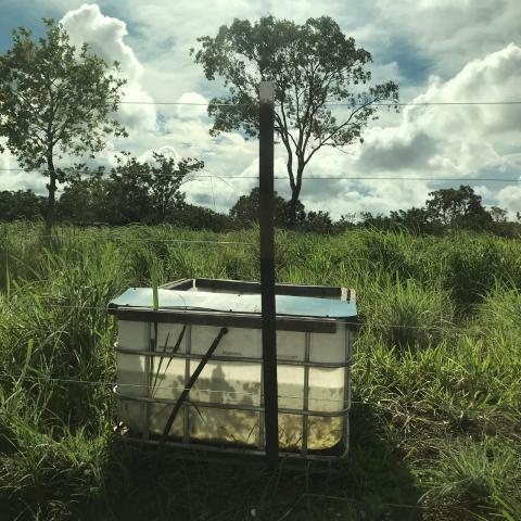 Chácara à venda em Km 21, Nossa senhora do livramento cod:CH00001 - Foto 12