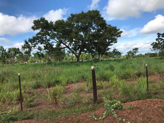 Chácara à venda em Km 21, Nossa senhora do livramento cod:CH00001 - Foto 10
