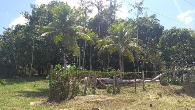 280 mil terreno com 50 x80 na Pa km 7 Castanhal- Terra Alta bom para fabrica ou galpão - Foto 11