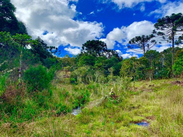 Urubici Chácaras/ sitios em Urubici/ terrenos em Urubici - Foto 4