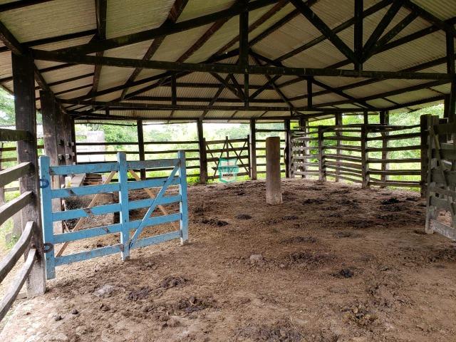 Ubaitaba. Fazenda produtiva de 139 Hectares a beira do asfalto. - Foto 7