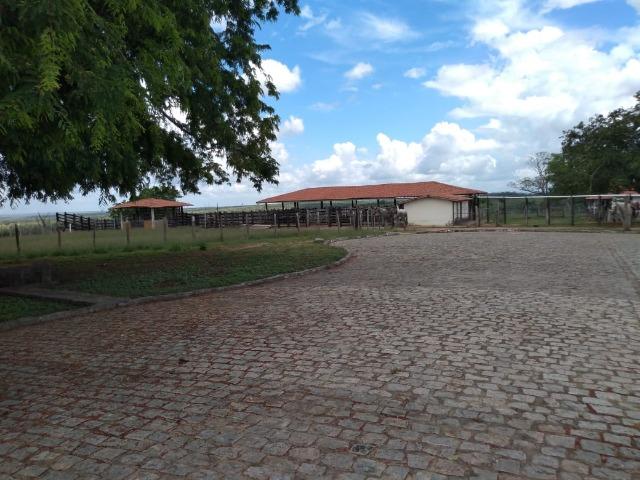 Maravilhosa fazenda na região rural de Baixa Grande Bahia, a 150 km de Feira de Santana - Foto 12