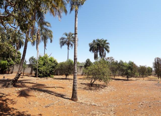 Linda Chácara 12.724 Metros sitio recreio dos bandeirantes- Goiânia-GO - Foto 12