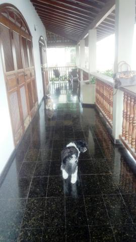 Casa com cinco suítes na Ilha do Frade! - Foto 20