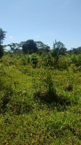 Fazenda com 806 hectares na Agrovila das Palmeiras a 130 km de Cuiabá - Foto 5