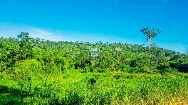 Ubaitaba. Fazenda com o melhor custo beneficio de 400 Hectares - Foto 4