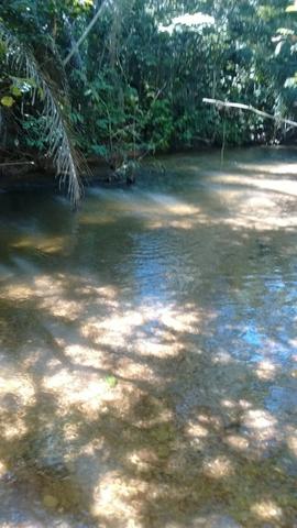 Fazenda com 806 hectares na Agrovila das Palmeiras a 130 km de Cuiabá - Foto 4
