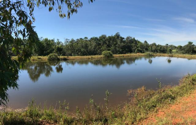 Fazenda 16.5 Alqueires ( 80 ha) Aragoiânia-GO - Foto 10