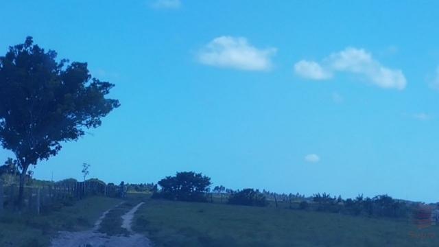 Maravilhosa Fazenda em Barrolândia, Belmonte - BA com 809 Hectares... - Foto 10