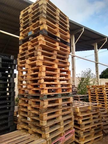 Pallet PBR - Foto 5