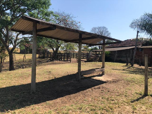 Fazenda a venda em Piracanjuba de 20 alqueires para Pecuária e lavoura - Foto 7