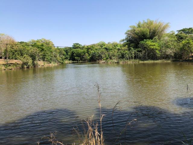 Fazenda a venda em Piracanjuba de 20 alqueires para Pecuária e lavoura - Foto 2