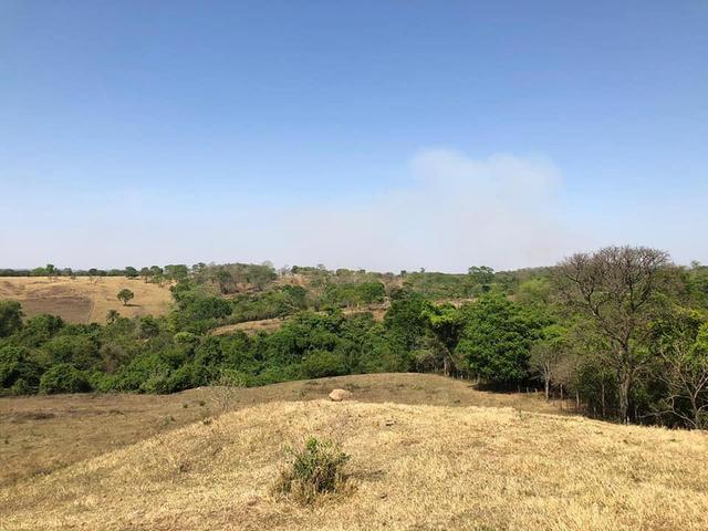 Fazenda a venda em Piracanjuba de 20 alqueires para Pecuária e lavoura - Foto 18