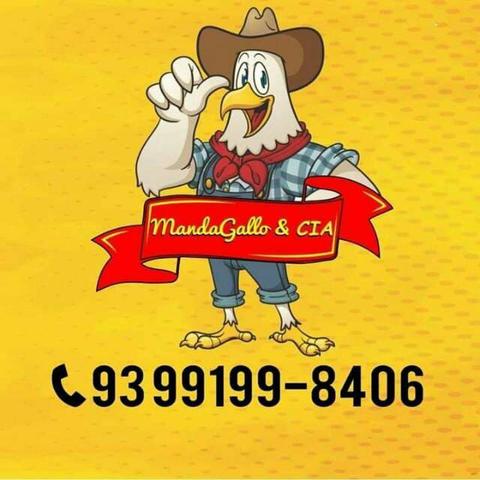 Frango Assado