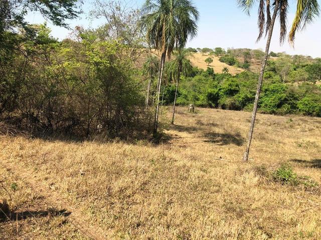 Fazenda a venda em Piracanjuba de 20 alqueires para Pecuária e lavoura - Foto 19