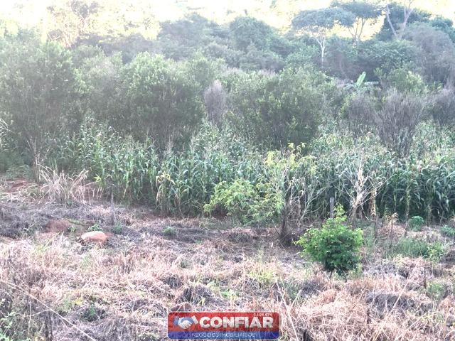 Chácara. Ótima Oportunidade!!! - Foto 3