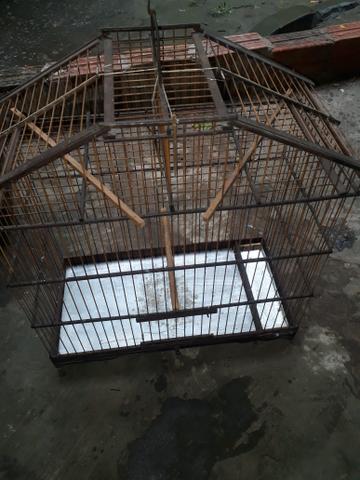 Gaiola - Foto 3