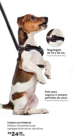Coleira com peitoral nova - Foto 3
