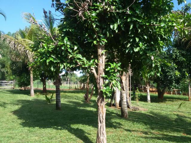 Chácara em Bonfinópolis - Foto 11