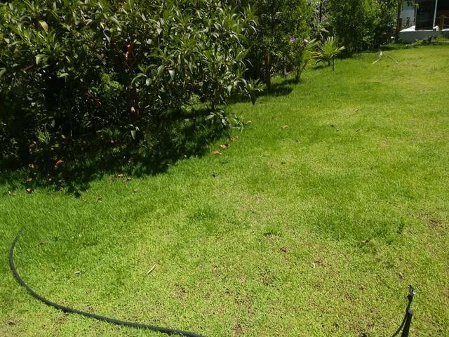 Vendo casa de campo - Foto 5