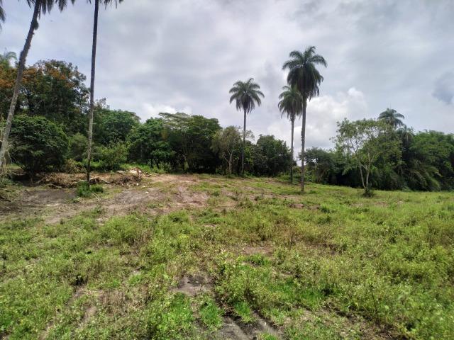 Chácara de 2000 mts água corrente e pagto facilitado - Foto 12