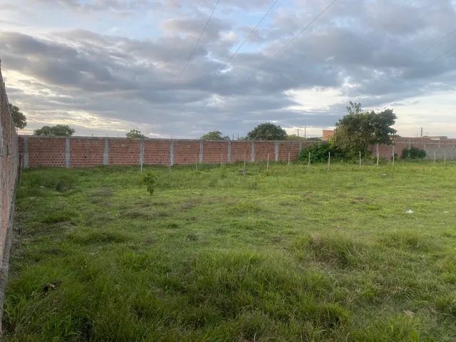 Lotes na fazenda frios 16,5*66 ou casa - Foto 6