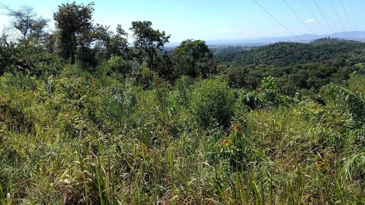 Lote - Terreno à venda, 20 vagas, Veneza - Ribeirão das Neves/MG - Foto 6