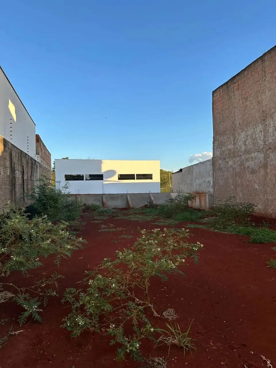 Amplo terreno na Vila Ipiranga - Foto 4