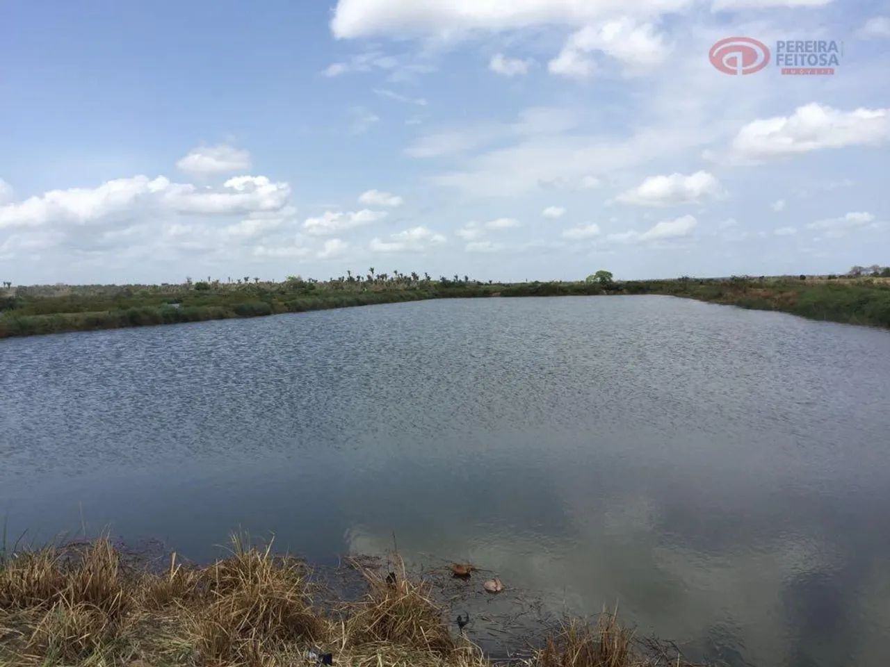 Fazenda, 8000000 m² - venda por R$ 26.000.000,00 ou aluguel por R$ 75.000,00/mês - Ariri - - Foto 5