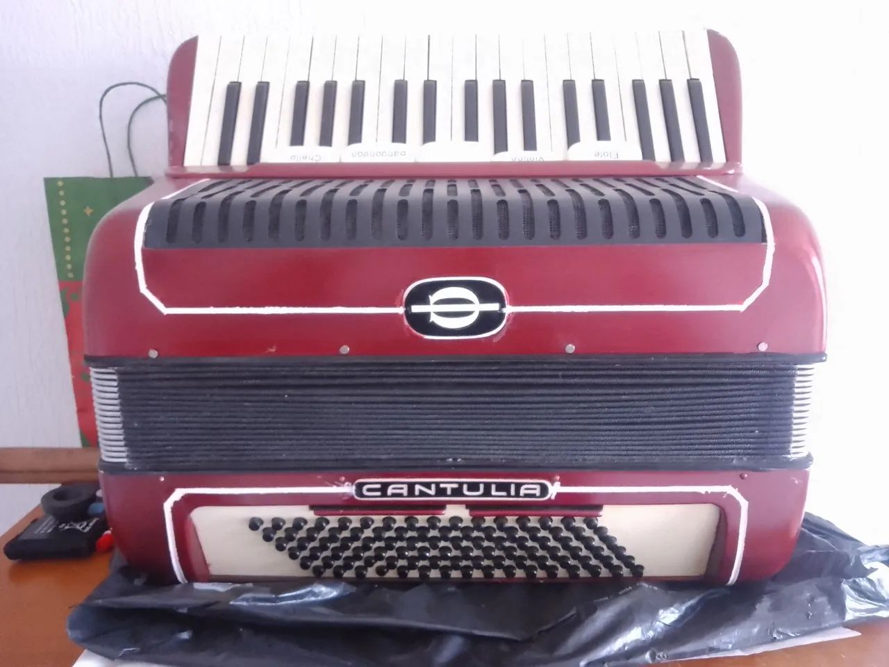 Acordeon  - Foto 2