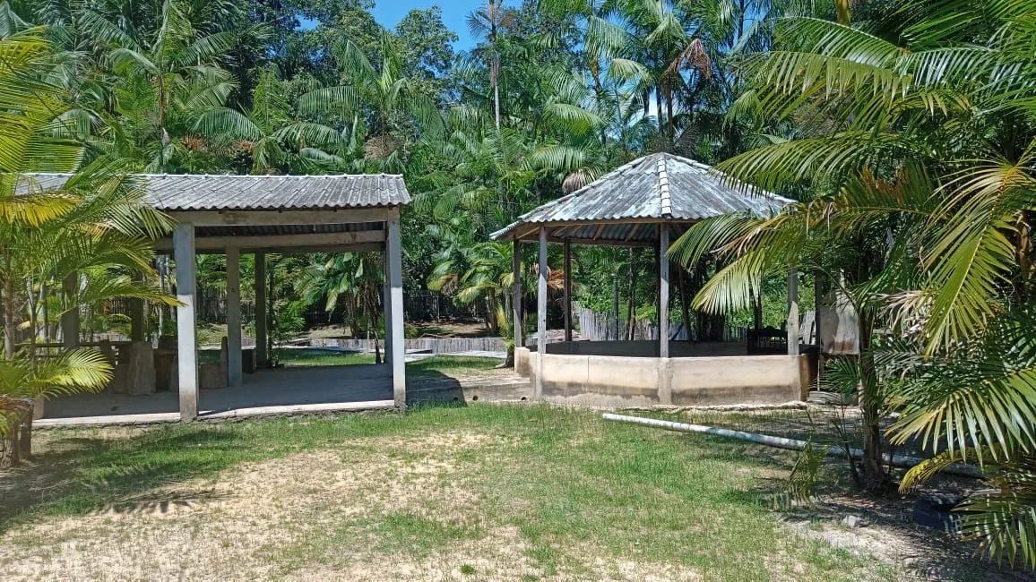 Igarapé - Foto 2