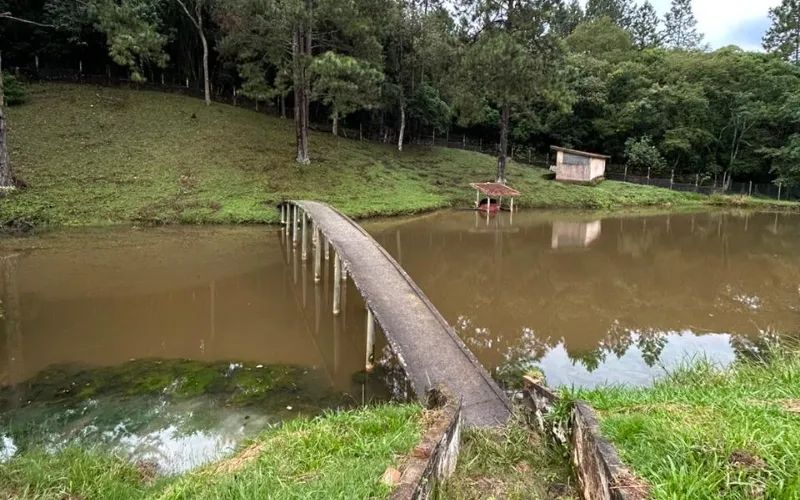 O verde que você merece - Foto 3