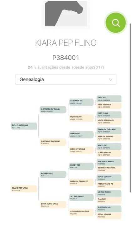Potra pura streak of fling  - Foto 4