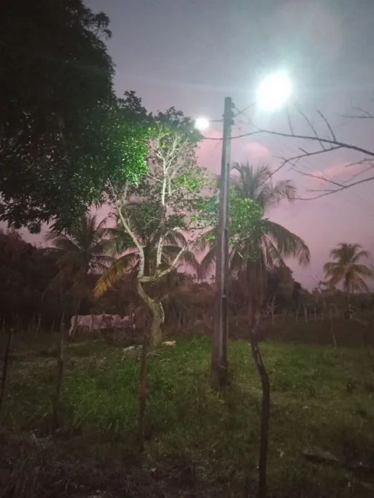 TERRENO PARA CRIA GADO , CAVALO E PLANTAÇÕES  - Foto 6