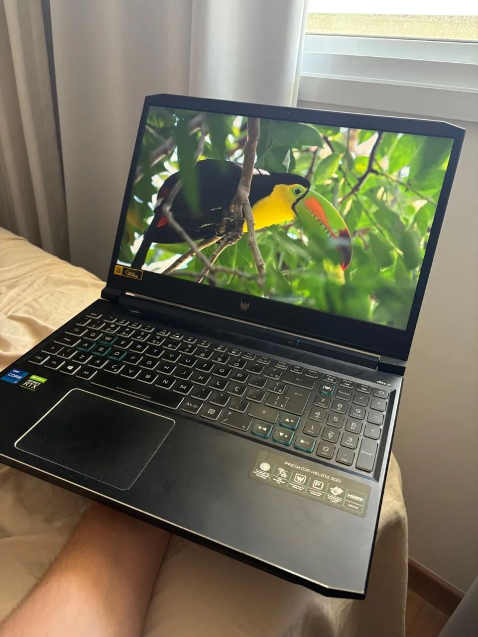 Notebook Gamer Acer Predator Helios 300