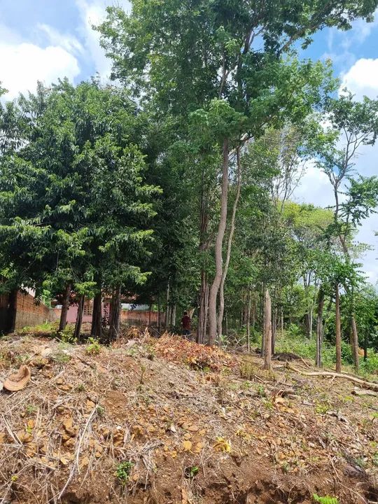 DS: Terreno em condomínio fechado, Fazenda Real  - Foto 3