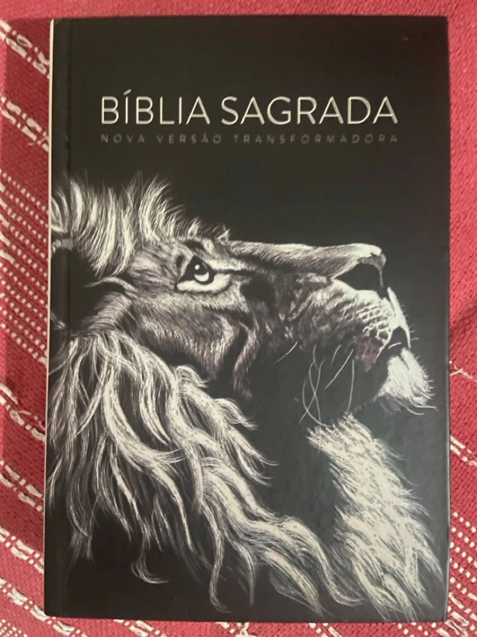 Bíblia Sagrada - Nova Versão Transformadora