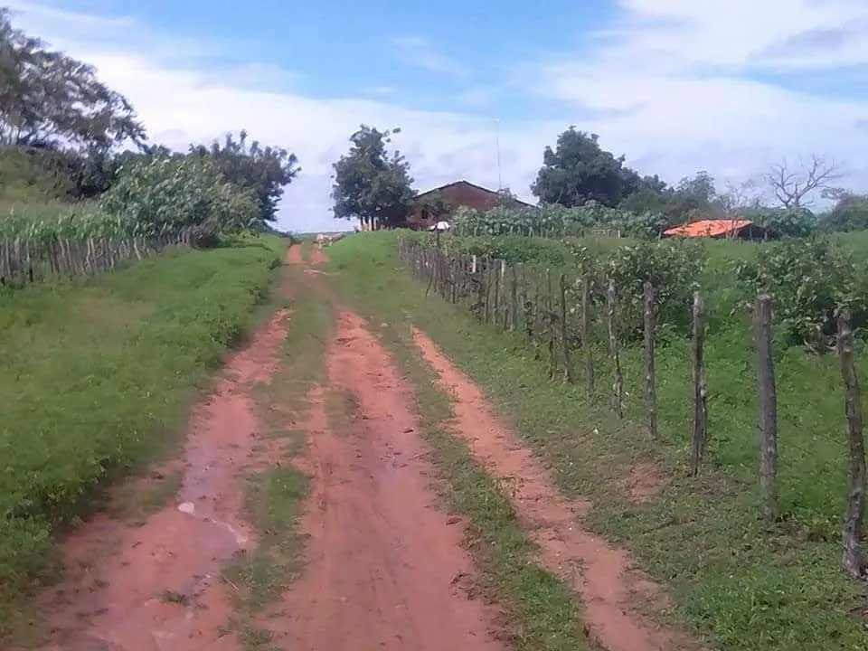 Fazenda