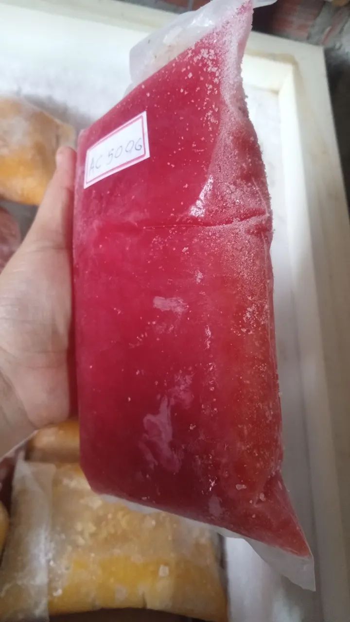 Polpa de Frutas - Cajá, Cajá Imbu, Acerola - Foto 2