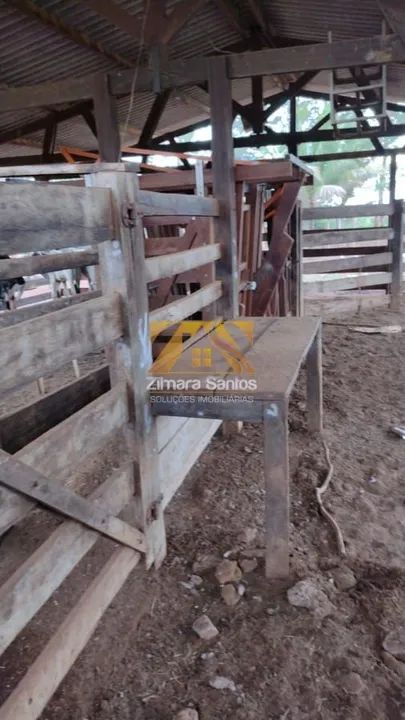 Fazenda, 32 alqueires - Zona Rural - Palmas/TO - Foto 11