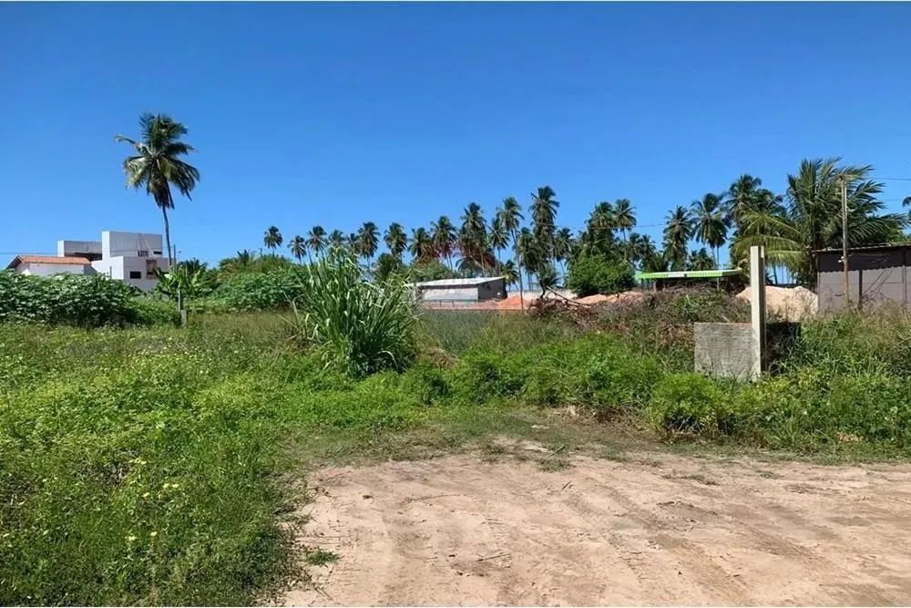 No Paraíso de Tatuamunha tem umTerreno esperando por você! - Foto 4