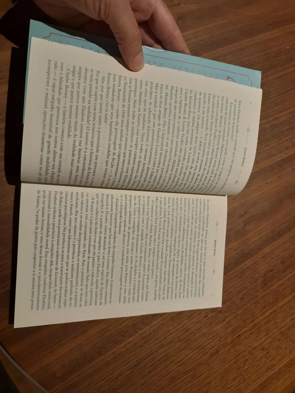  Livro Madame Bovary - Gustave Flaubert (semi novo) - Entrego em mãos - Foto 3