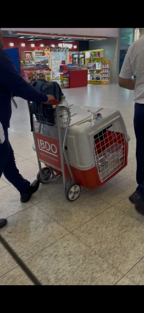 Caixa de transporte para cachorro   - Foto 4