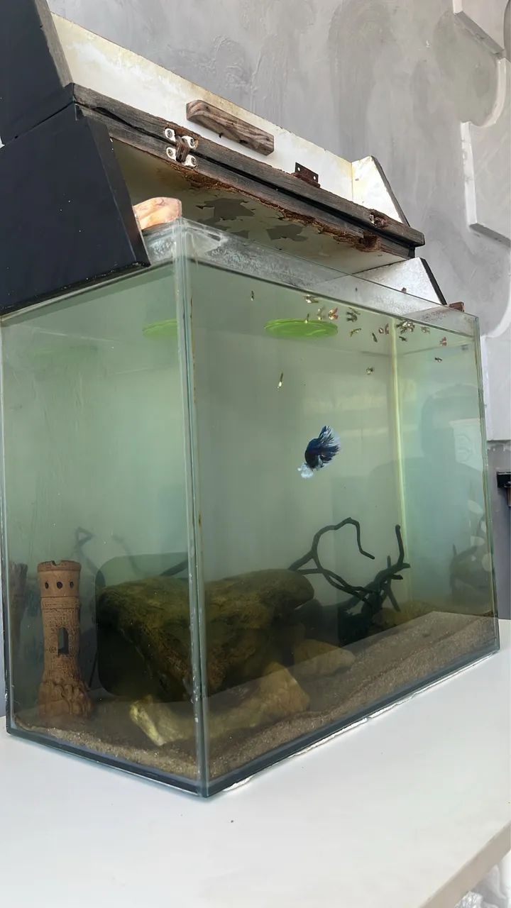 Aquário 60L - Foto 2