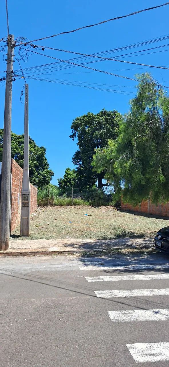 Foto - Garça - 