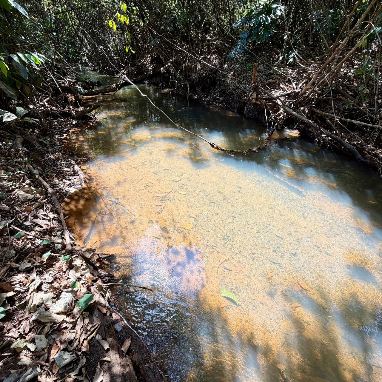 Chácara com Córrego à 300 metros da cidade de Goianápolis-GO - Foto 4