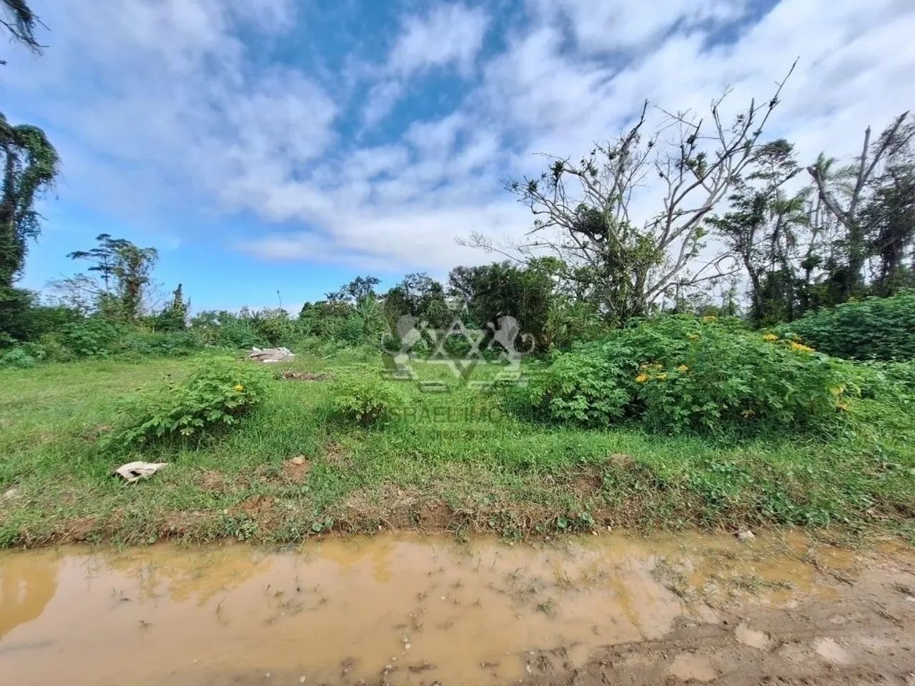 Terreno | Venda | golfinho - Foto 4